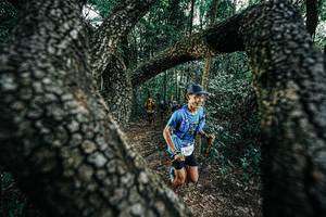 BIB: 
                            <button type="button" onclick="openModal(25392014)" class="btn btn-primary btn-sm float-right btn-popup" data-toggle="modal" data-target=".modal-high-quality">
                        <i class="fas fa-shopping-cart"></i> Add to Cart
                    </button>
                                            <button type="button" onclick="isThisMe(25392014, true)" class="btn btn-success btn-sm float-right btn-popup btn-isme hidden" data-toggle="tooltip" data-placement="bottom" title="นี่คือรูปของคุณใช่ไหม คลิกที่นี่เพื่อเอาเข้าอัลบั้ม">
                        <i class="fas fa-plus"></i> Add to album
                    </button>
                    <button type="button" onclick="isThisMe(25392014, false)" class="btn btn-warning btn-sm float-right btn-popup btn-isnotme hidden">
                        <i class="fas fa-ban"></i> Remove from album
                    </button>